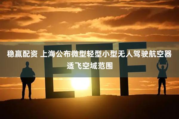 稳赢配资 上海公布微型轻型小型无人驾驶航空器适飞空域范围